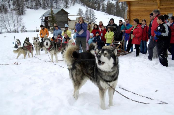 Le Chalet Du Queyras And Spa Molines-en-Queyras Zewnętrze zdjęcie