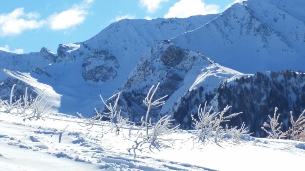 Le Chalet Du Queyras And Spa Molines-en-Queyras Zewnętrze zdjęcie